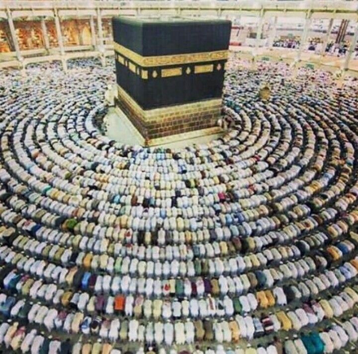 Unity of the Muslim Ummah